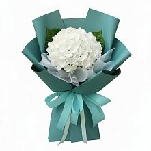 Букет цветов из:  Гортензия #REPLACE_PRED# Лукерьино